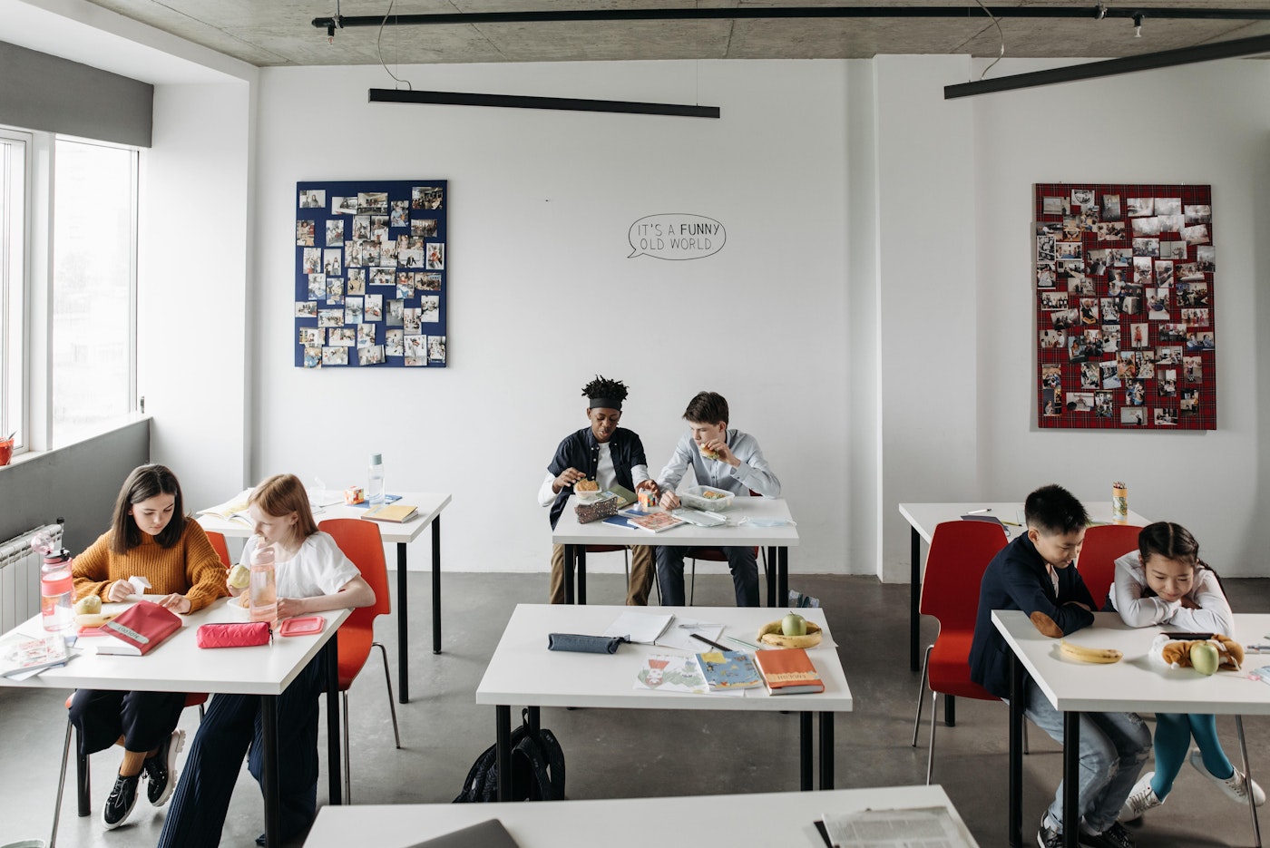 Pexels pavel danilyuk 8423425